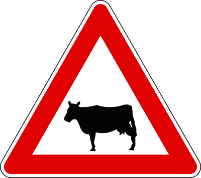 Animali domestici